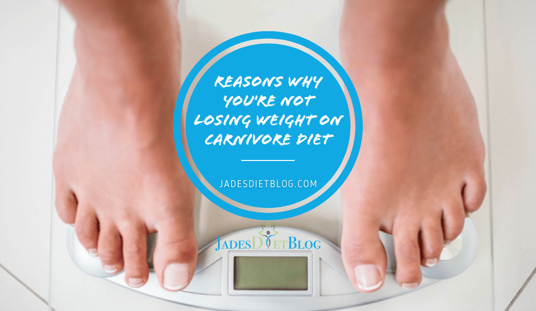 Reasons Why You’re Not Losing Weight on Carnivore Diet