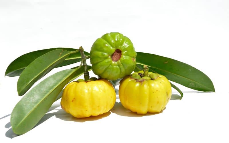 yellow and green Garcinia Cambogia